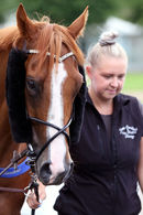 Race 6 - Show Palace (3)