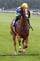 Race 6 - Show Palace (5)
