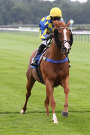 Race 6 - Show Palace (6)