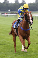 Race 6 - Show Palace (7)