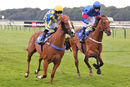 Race 6 - Show Palace (10)