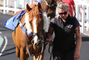 Race 6 - Show Palace (2)