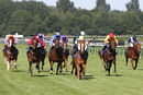 Race 6 - Show Palace (4)