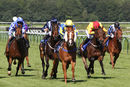 Race 6 - Show Palace (5)