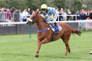 Race 6 - Show Palace (7)