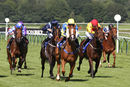 Race 6 - Show Palace (6)