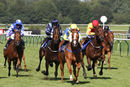 Race 6 - Show Palace (7)