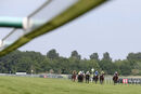 Race 6 - Siam Fox (2)
