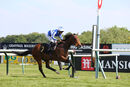 Race 6 - Siam Fox (8)
