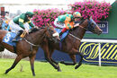 Race 6 - Soller Bay (3)