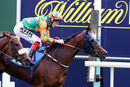 Race 6 - Soller Bay (5)