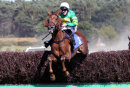 Race 6 - State The Obvious (7)