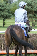 Race 6 - Tales Of The Tweed (2)