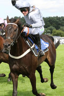 Race 6 - Tales Of The Tweed (7)