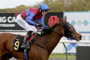 Race 6 - Tao Te Ching (13)