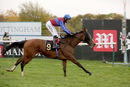 Race 6 - Tao Te Ching (15)