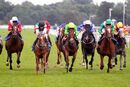 Race 6 - The Flying Ginger (2)