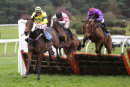 Race 6 - The Manuscript (3)