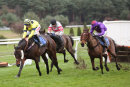 Race 6 - The Manuscript (6)