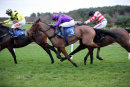 Race 6 - The Manuscript (9)