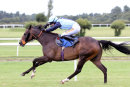 Race 6 - Tiradia (9)