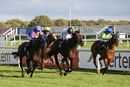 Race 6 - Titian (3)