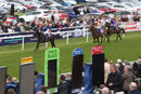 Race 6 - Tollard Royal (2)