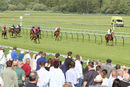 Race 6 - True Destiny (3)