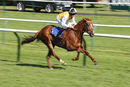 Race 6 - True Destiny (5)