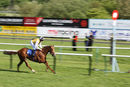 Race 6 - True Destiny (6)