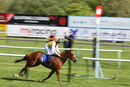 Race 6 - True Destiny (7)