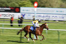 Race 6 - True Destiny (8)