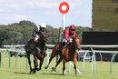 Race 6 - True Scarlet (5)