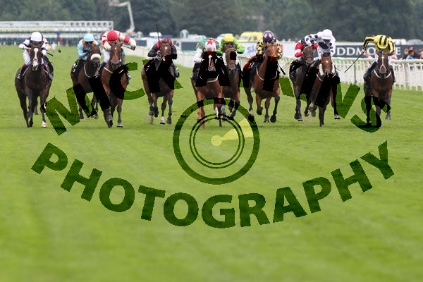 Race 6 - Tweet Tweet (2)