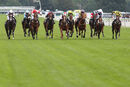 Race 6 - Tweet Tweet (2)