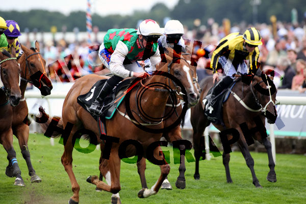 Race 6 - Tweet Tweet (4)