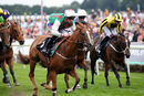 Race 6 - Tweet Tweet (4)