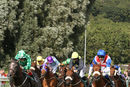 Nottingham Races (13 Aug 19)