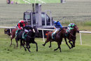 Race 6 - Uncle Charlie (3)