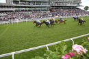 Race 6 - Wedding Date (2)