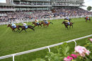 Race 6 - Wedding Date (3)