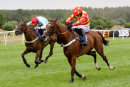 Race 6 - Whoshotwho & Royal Village (10)