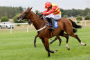 Race 6 - Whoshotwho & Royal Village (13)