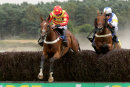 Race 6 - Whoshotwho & Royal Village (2)