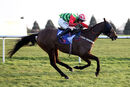Race 6 - Windsor Avenue (3)