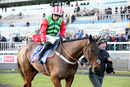 Race 6 - Windsor Avenue (5)