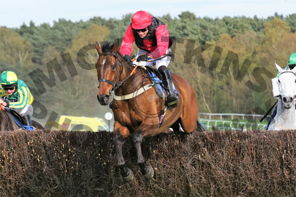 Race 6 - Wolf Sword (6)