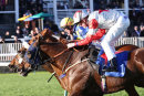 Nottingham Races (7 Nov 18)