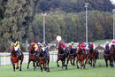 Race 6 - Wrenthorpe (3)