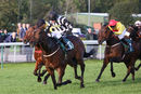 Race 6 - Wrenthorpe (7)